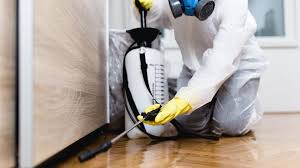 Best Fumigation Services  in Mante, CA